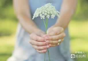 审核通过不到账处理方法（图）