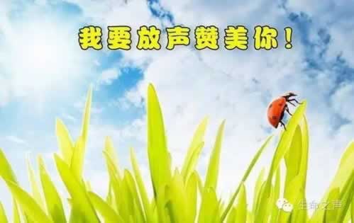 在平台上取款通道维护一星期了什么意思啊处理思路（图）