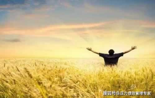 系统审核不给出款 藏分补救措施（图）