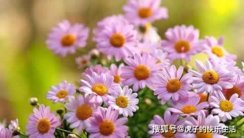 发生网上取款通道维护系统维护延审核端口关闭应对思路（图）