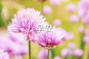 出金出不了化解方法（图）