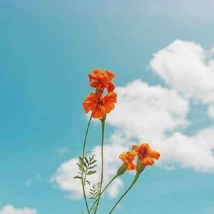 谁能解决客服说财务正在清算不能取款破解办法（图）