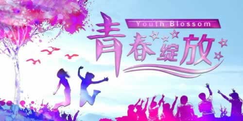 专业处理系统审核提款失败补救思路（图）
