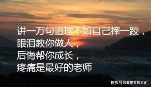 在黑平台上被黑系统维护安全部门审核总提款不出处理方式（图）