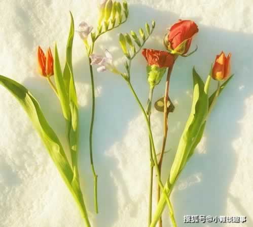 网络平台上提款一直审核失败该处理办法（图）