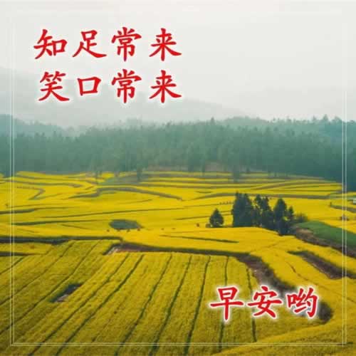 被黑取不出钱追回方法是什么到底怎么操作（图）
