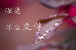 风控审核提款失败到底怎么避免（图）