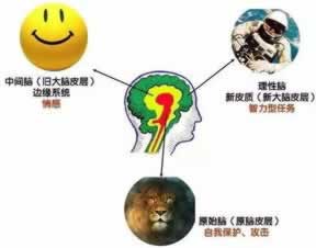 网站提款维护审核解决方法（图）