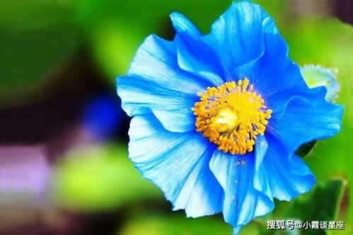 在平台提现会出现风控审核吗要注意（图）
