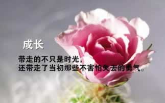 网上营前投注被定为违规投注有什么解决办法（图）