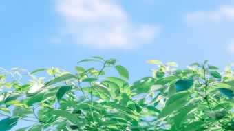 提款通道临时维护操作方式（图）