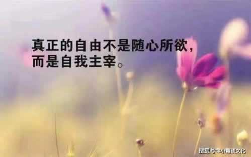 网络上被黑客服说我对刷审核不给提现化解思路（图）