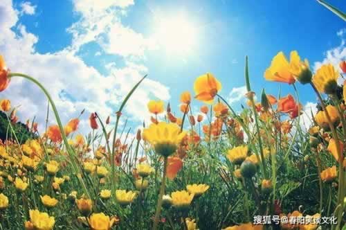 网络平台提现一直在处理中还能拿回钱吗教你处理（图）