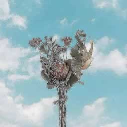 遇到平台出现提现一直不通过补救措施（图）