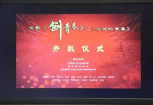 平台提款成功但是没有到账操作方案（图）