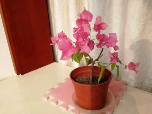 谁能解决提示风控审核不通过化解方法（图）