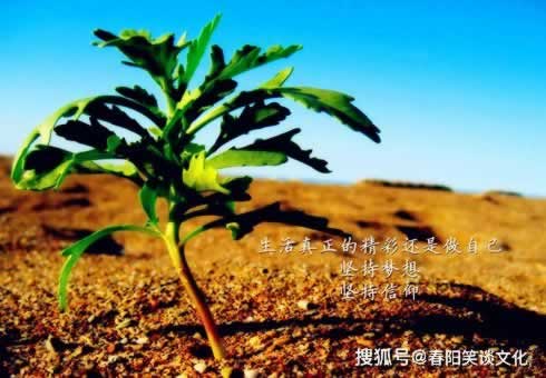 网络数据未同步提款失败破解办法（图）