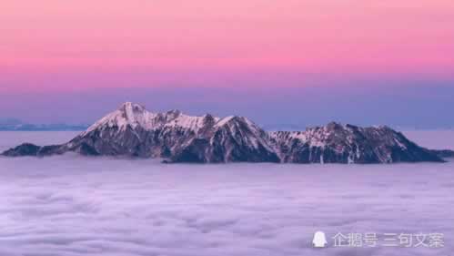 网上网站风控审核时间过长怎么挽回（图）
