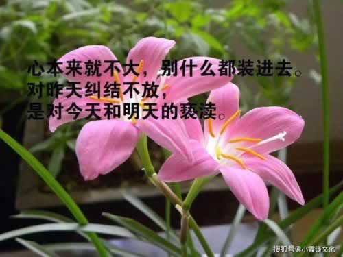 网上账号无法非法投注到底怎么搞（图）