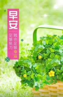 黑网财务目前清算提取失败补救思路（图）