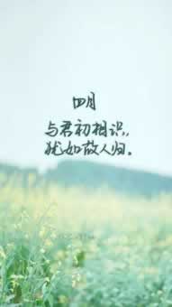 网络上利用电子藏分提款处理方法（图）