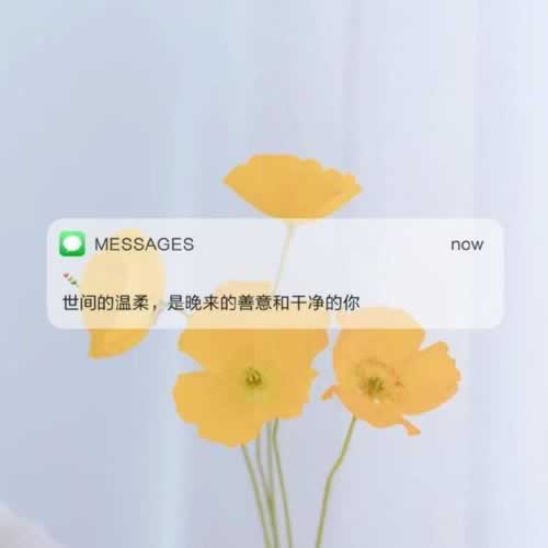 黑平台系统自动抽查审核不通过应对方式（图）