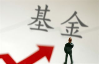 专业出黑可靠吗几率大吗—碰到了要小心化解办法（图）