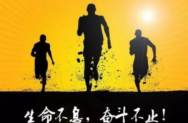 财务系统升级报告补救对策（图）