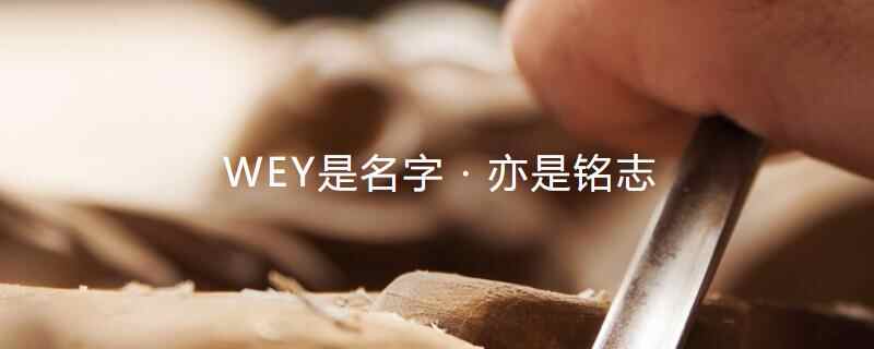 车标WEY是什么车？WEY是什么牌子的汽车