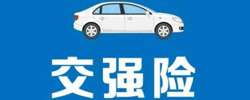 交通强制保险多少钱