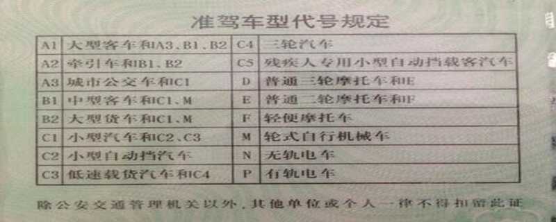 c5驾照能开什么车，c5驾照能开几种车