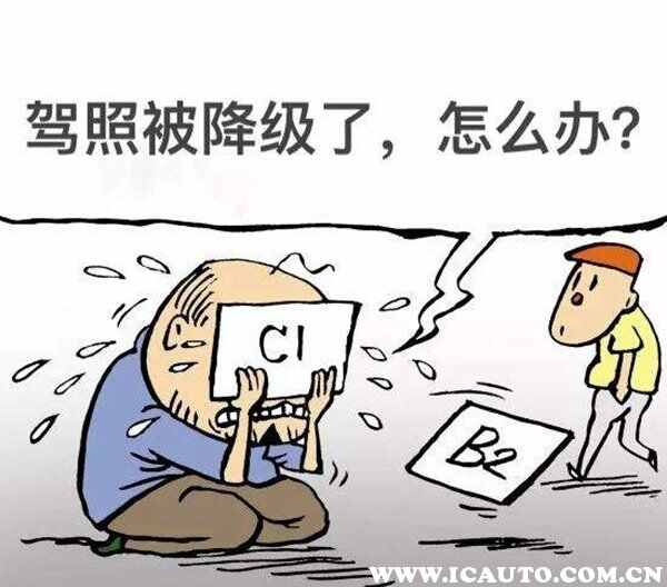 a1a2d驾驶证能开什么车