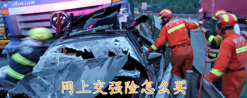 交强险一年要多少钱？网上交强险怎么买