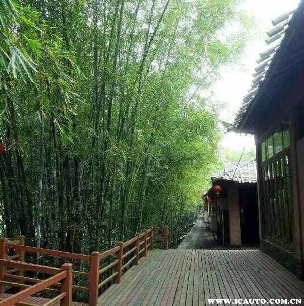 广东适合自驾游的地方，广东一家人自驾游好去处