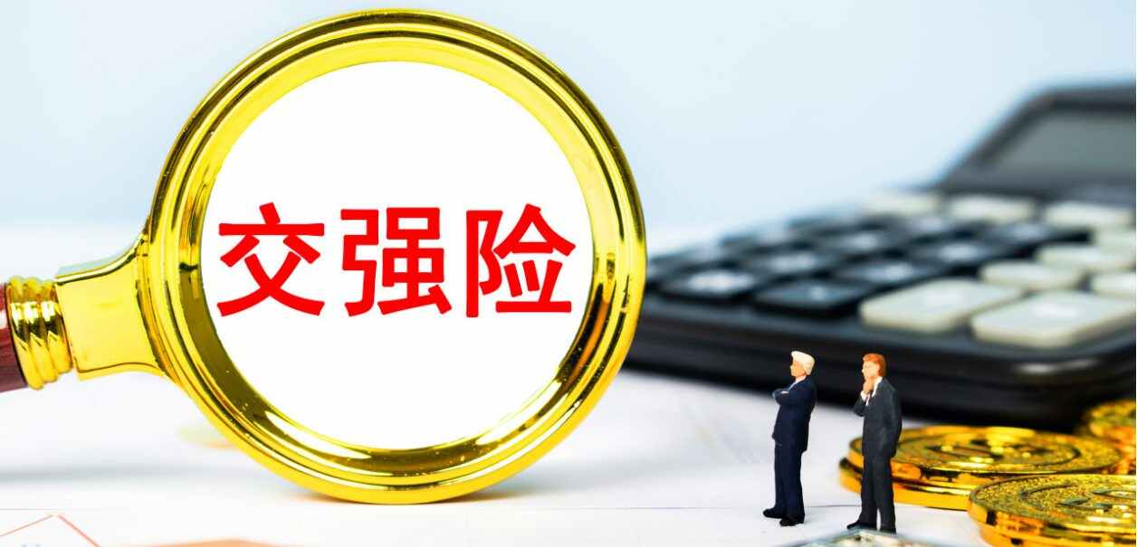 2021年交强险包括哪几项？强险包括哪些险种