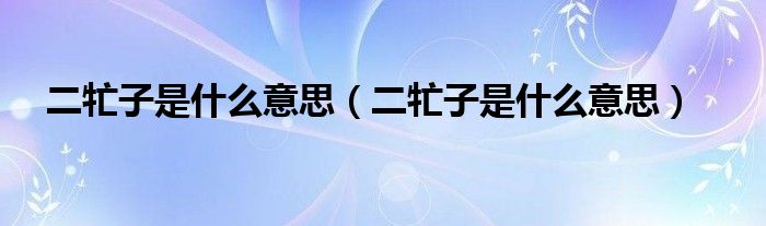 二牤子是什么意思（二牤子是什么意思）