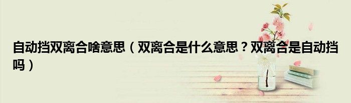 自动挡双离合啥意思（双离合是什么意思？双离合是自动挡吗）