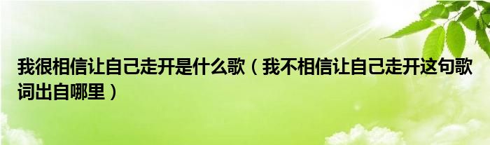 我很相信让自己走开是什么歌（我不相信让自己走开这句歌词出自哪里）