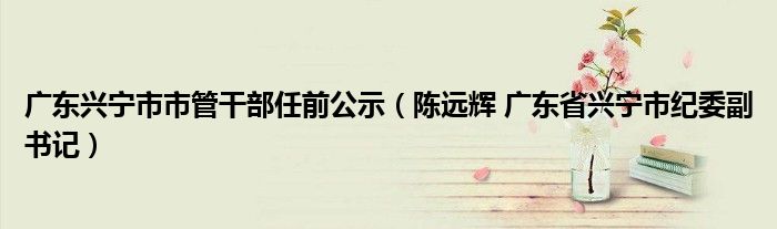 广东兴宁市市管干部任前公示（陈远辉 广东省兴宁市纪委副书记）