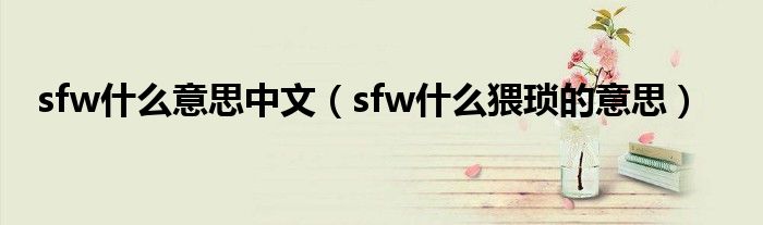 sfw什么意思中文（sfw什么猥琐的意思）