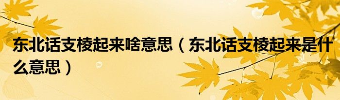 东北话支棱起来啥意思（东北话支棱起来是什么意思）