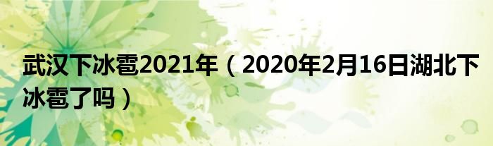 武汉下冰雹2021年（2020年2月16日湖北下冰雹了吗）