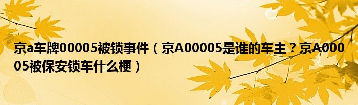 京a车牌00005被锁事件（京A00005是谁的车主？京A00005被保安锁车什么梗）