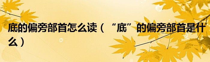 底的偏旁部首怎么读（“底”的偏旁部首是什么）