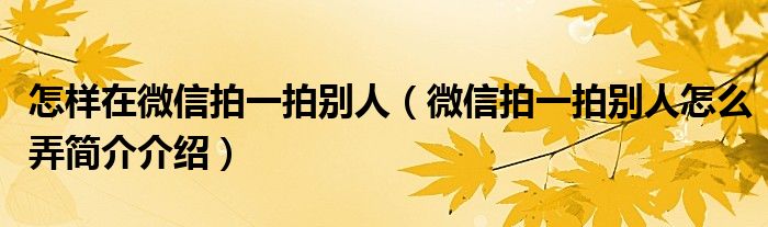 怎样在微信拍一拍别人（微信拍一拍别人怎么弄简介介绍）