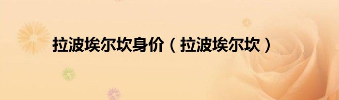 拉波埃尔坎身价（拉波埃尔坎）
