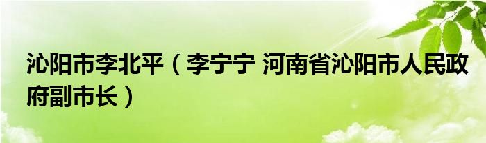 沁阳市李北平（李宁宁 河南省沁阳市人民政府副市长）