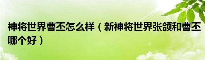 神将世界曹丕怎么样（新神将世界张颌和曹丕哪个好）