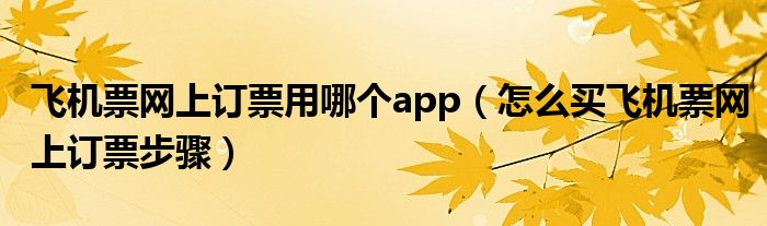 飞机票网上订票用哪个app（怎么买飞机票网上订票步骤）