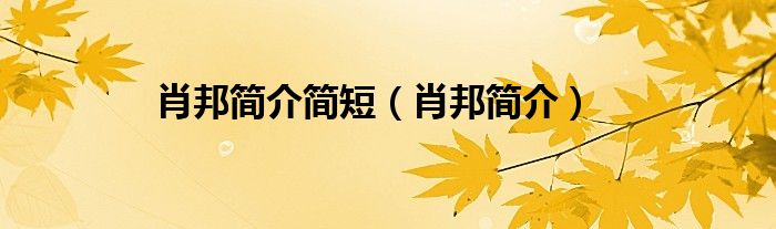 肖邦简介简短（肖邦简介）